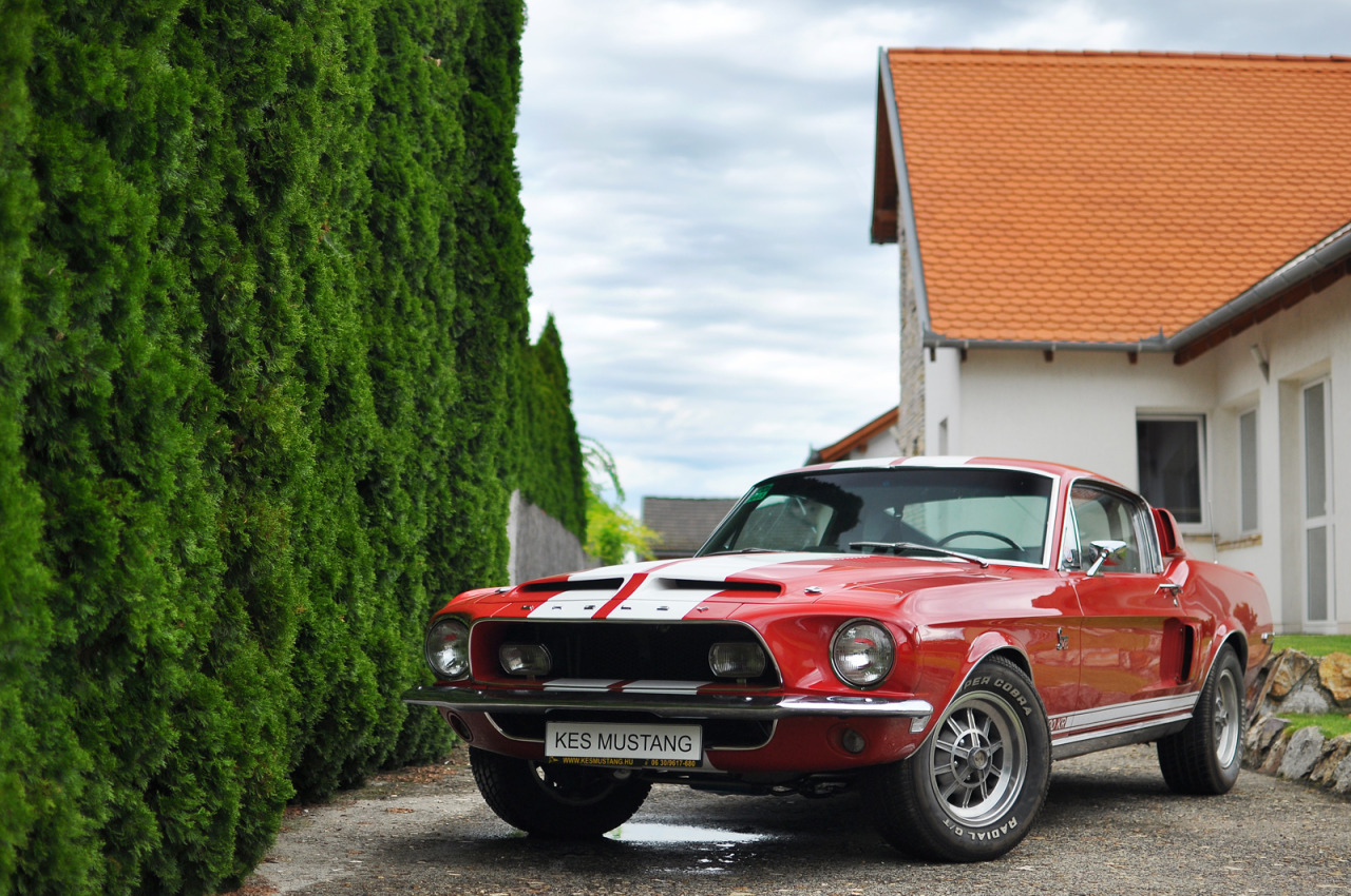 Muscle Car Instant