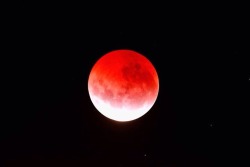 aquire:Lunar eclipse, 4/4/15