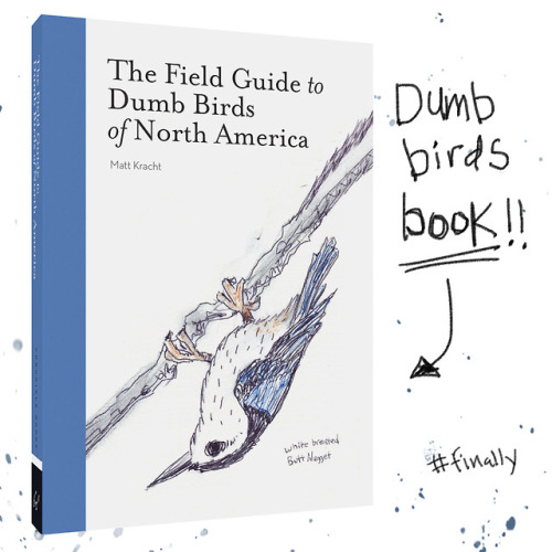 DUMB BIRDS IS GONNA BE A BOOK?!!For real, though. Pretty excited to announce that &ldquo;The Fie