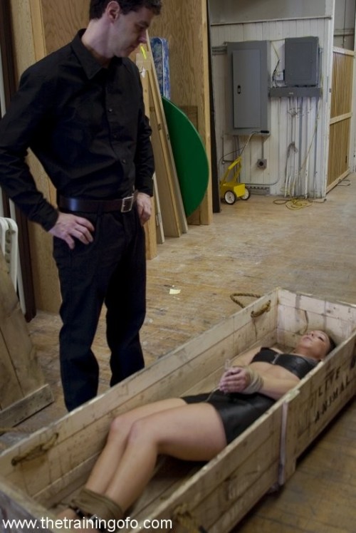 englishbondage:  subsixxx:  the-dark-basement:This is how I like to transport the cunts across international lines.  englishbondage!!!!!!!  Good idea!