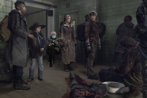 Just Gonna Leave This Here For Some Friends- @punofagun-but-twd @bones-delicatebones @skyf-all @xxqueenofdragonsxx