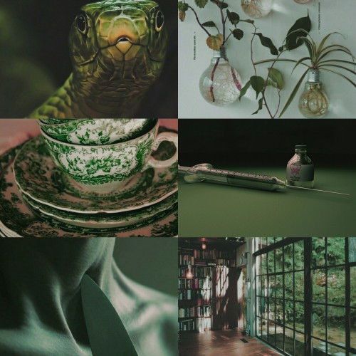virginian-wolfsnake:a series of unfortunate events meme3/5 books - the reptile room“Uncle Mont