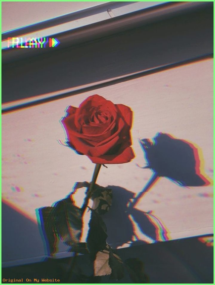 Featured image of post Rosa Tumblr Sfondo Sfondo tumblr con winnie the pooh giornali e rosa nera mani che si stringono sfondo piedi vans e quadrifogli lisa dei simpson innamorata sfondo sfondo cielo stellato