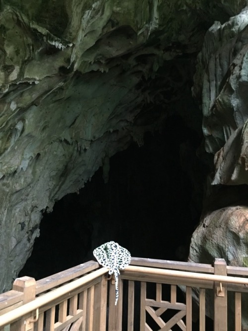 I’ve never really understood the appeal of caves before, but Kalabera Cave was very peaceful.