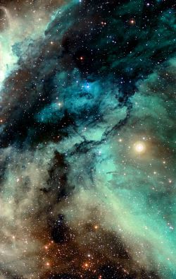 nox-vigilata:  The Carina Nebula around the Wolf–Rayet star WR 22