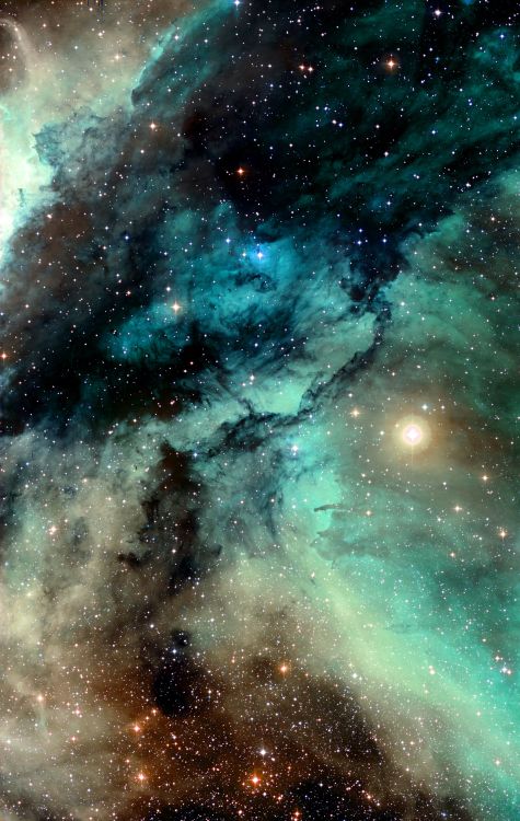 The Carina Nebula around the Wolf–Rayet star WR 22