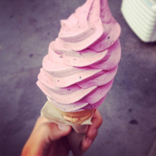 exhale-bliss:  v-anilla—daisies:  floracara:  ♡ ☆ ☼ ♡ ☆ ☼ ♡  more rosy posts here ♡ ♡