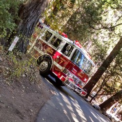 So the fire alarm went off today. We had to leave the he dorms and a fire truck came.