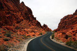 johnnylacephotography:  Trip to valley of fire. Instagram: @Johnnylace 