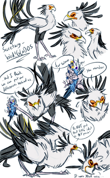 unbadger:  gfjgsdkjfjjk BURDS. BURDAL. a long overdue continuation of this set of drawings. i switched bird!Chell from a peregrine falcon to an orange-breasted falcon and got rid of bird!Wheatley’s glasses because they were stupid. he’s still a blue