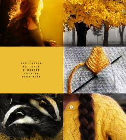 ibuzoo:  Hogwarts House Aesthetics - Hufflepuff