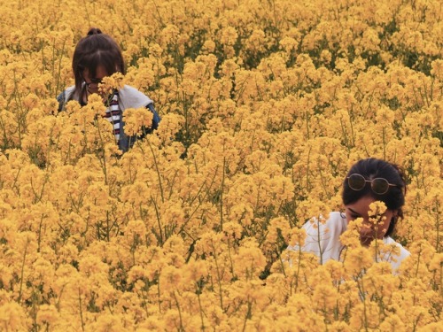 khonsuthemoon: flower girls Her insta | My insta