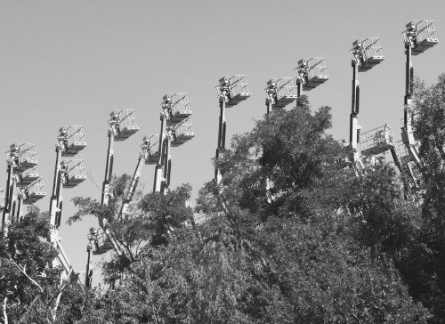 Décines-Charpieu, Saint-Chamond.