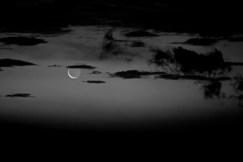 Stars fell on Livaniana