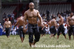 Turkish oil wrestling (Yağlı güreş)