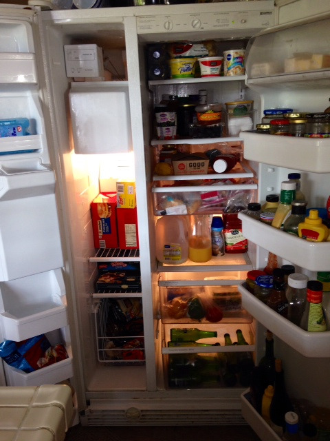 Fridge Analysis “ Stonehill,
My sister opens my fridge, and says I’ll never get a man. Curious. What do you think?
-Julie
”
Stonehill Analysis Julie, your fridge reminds me of a story.
When I was in 3rd grade, I had a teacher named Ms. Margolis. One...