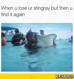 srsfunny:I Thought I’d Lost You Forever