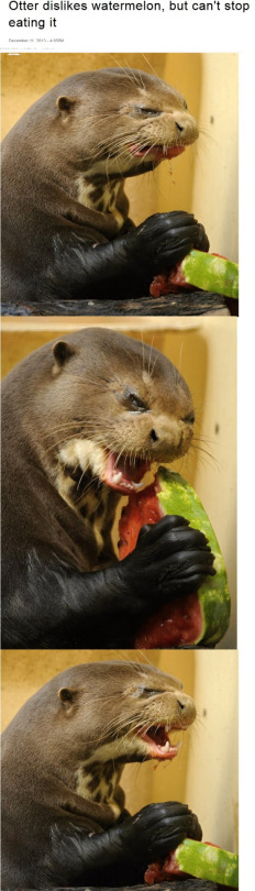rupaulie:  when you get cummies but they taste bad but you keep swallowing anyway