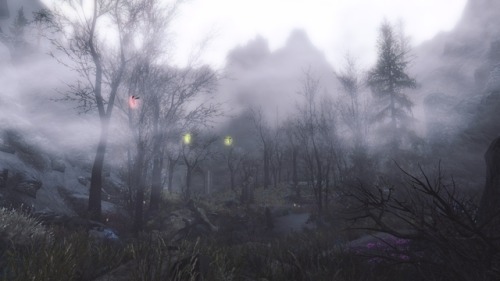 darkfantasyskyrim:The Forgotten Vale I