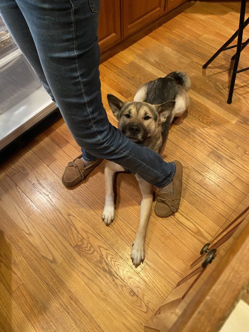 I Was Just Walking By To Put Something Away In The Fridge, And Uh.