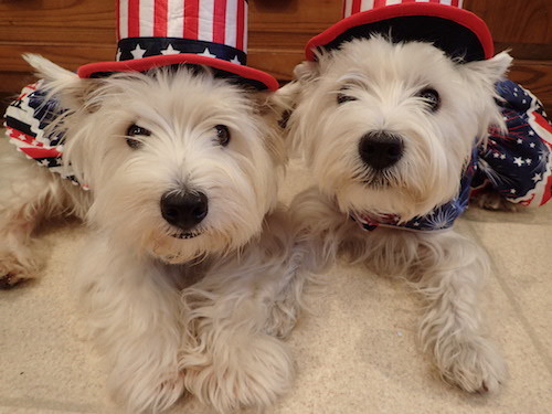 thekimdelacreme:Happy Independence Day!