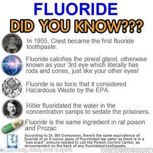 Fluoride Action Network   |  Puberty Before Age 10: A New ‘Normal’?