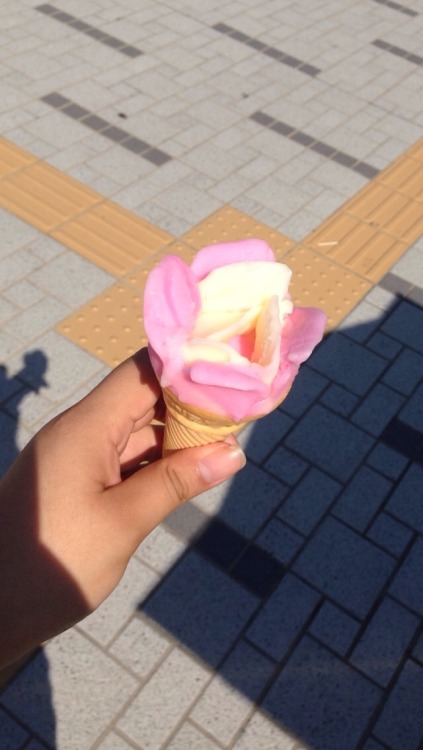 Babahera is strawberry/vanilla ice cream shaped like a rose popular in Akita prefecture. It&rsqu