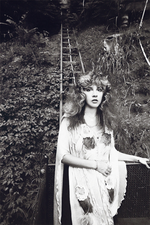 Sex Stevie Nicks photographed by Neal Preston, pictures