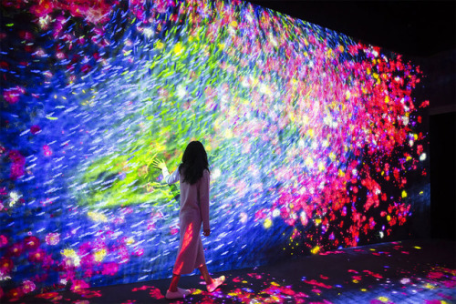 archatlas:    From The Inside Of The New Digital Art Museum In Tokyo These incredible photos show what it looks like inside a groundbreaking new digital art museum in Japan. A trip to the Mori Building Digital Art Museum: teamLab Borderless in Tokyo,