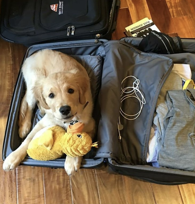 the-perfect-aesthetic:We are ready for a New York trip