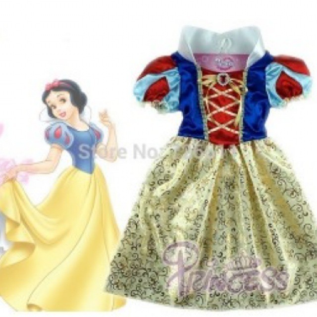 Princess snow white adult costume