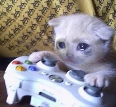 *Me During The Pillar Biggs And Jessie Scenes Despite Finishing The Game*