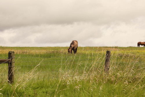 lillylalaloulou:Garnet Ghost Town &amp; more in Montana