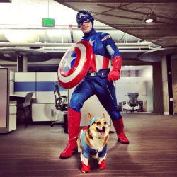 awwww-cute:  My boss walked into the office like this today