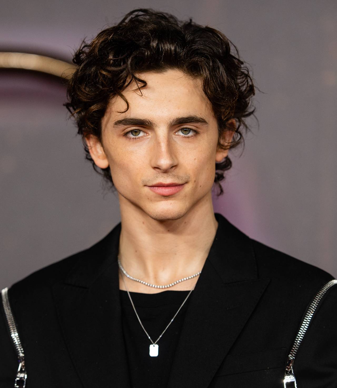 son of a binky bonky — Is it just me or does Timothee Chalamet seem like...