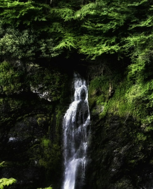 aetheric-aesthetic: Pocono Waterfall Tour