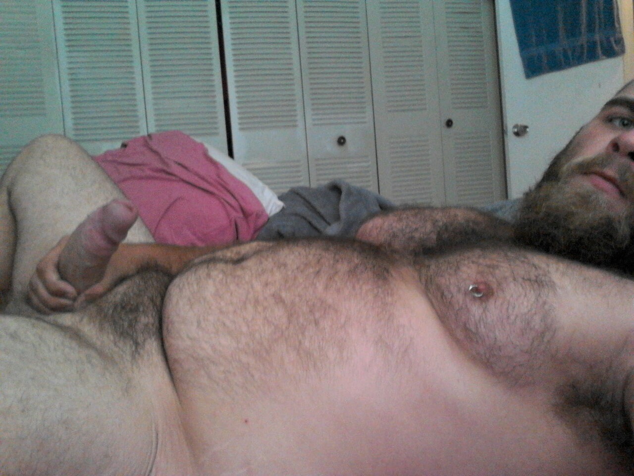 Bears and Shibas