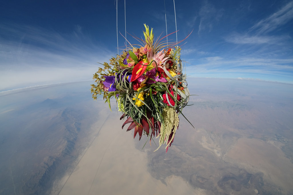 digg:  Azuma Makoto sends flowers to space in his latest installation piece, Exobiotanica.