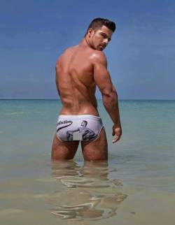 speedo submission