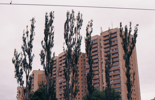 tommargol: Warszawa, 2015