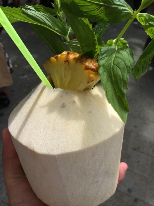 fijitears:fiji 