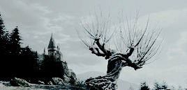 adrianivashkovs:  harry potter + winter