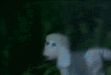 surprisebitch:  wow i reblogged porn after not having done so for a year just to see if i wont lose followers and i lost 25 followers in 15 seconds