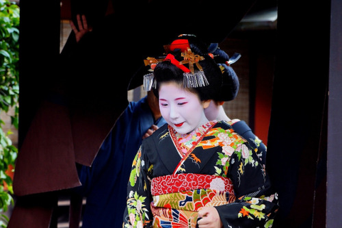 ileftmyheartintokyo:京都の花(まめ春さんの見世だし）-2 by nobuflickr on Flickr.