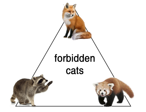 loveinthefourthdimension: [ID: A triangle with the words “forbidden cats” in the centre. At each poi