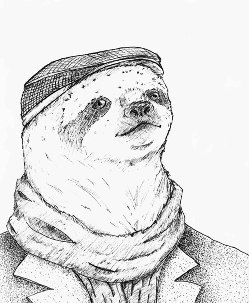 Dapper sloth