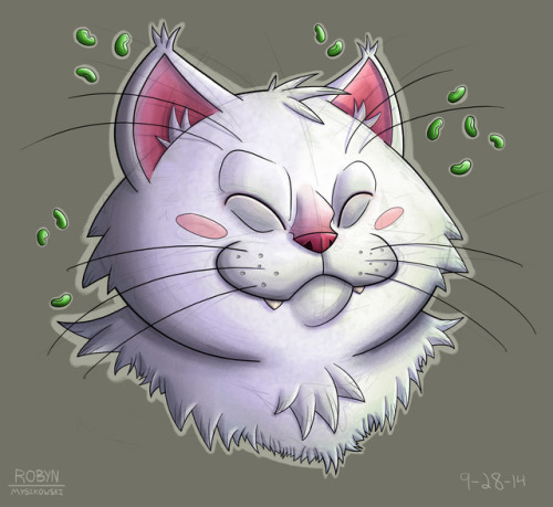 Korin&hellip;.good ol’ bean cat.