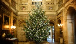 irrationalgame:  To all my followers: I hope you have a very Downton Christmas! 