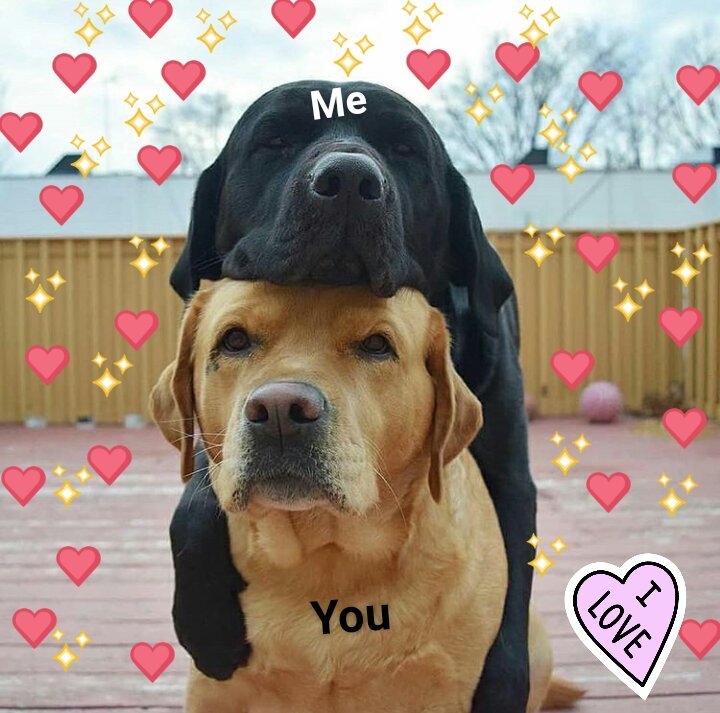 Featured image of post Wholesome Heart Memes For Her - 1024 x 934 jpeg 66 кб.