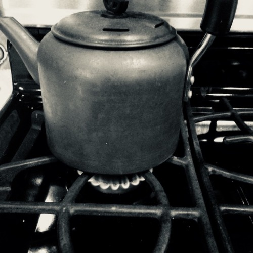 notreadyforanythingactually: making some tea